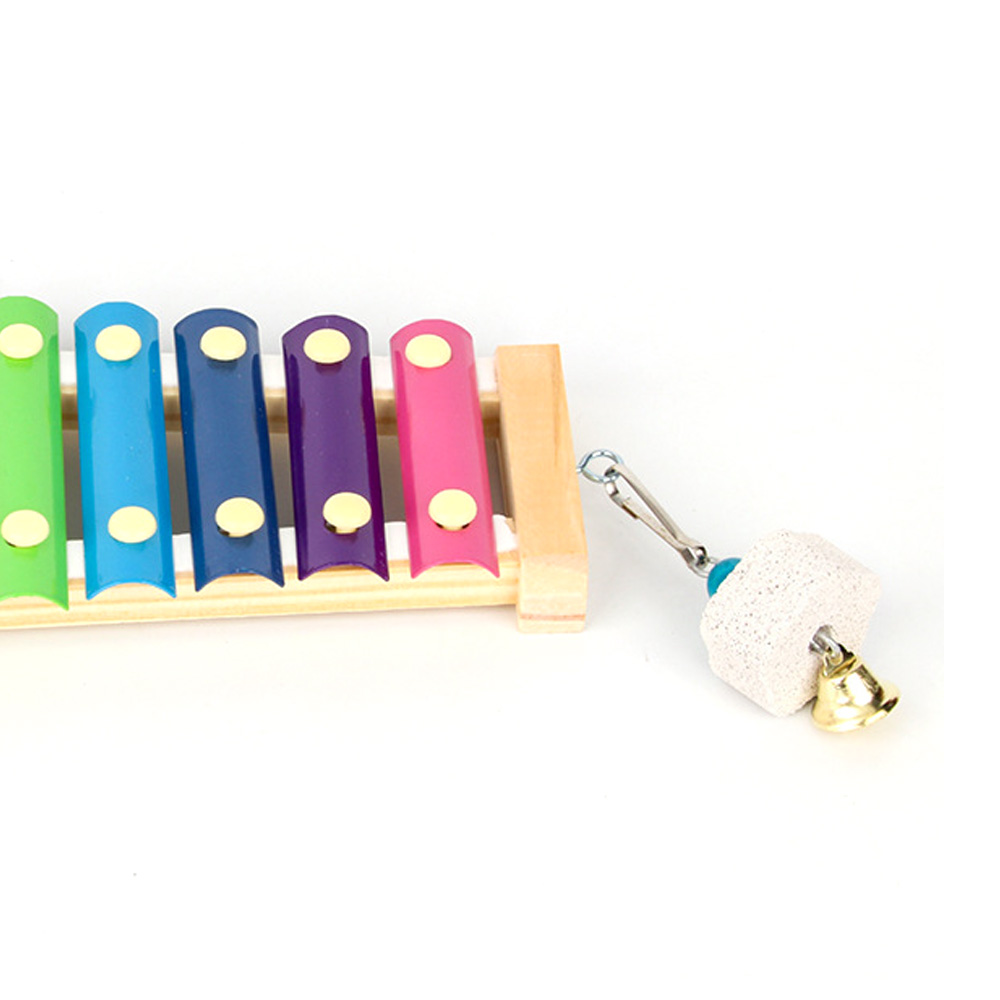 鳥鶏木琴おもちゃ木製吊り下げ鳥ケージアクセサリー音楽玩具 8 - Musical Instrument Harmonium のレビューと価格